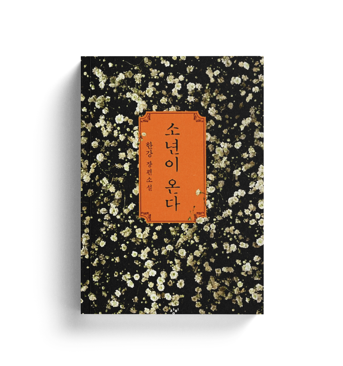 Human Acts Han Kang Novel (Nobel Prize Winner Korean Author) SooandCarrots