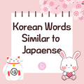 Korean Words Similar to Japaense